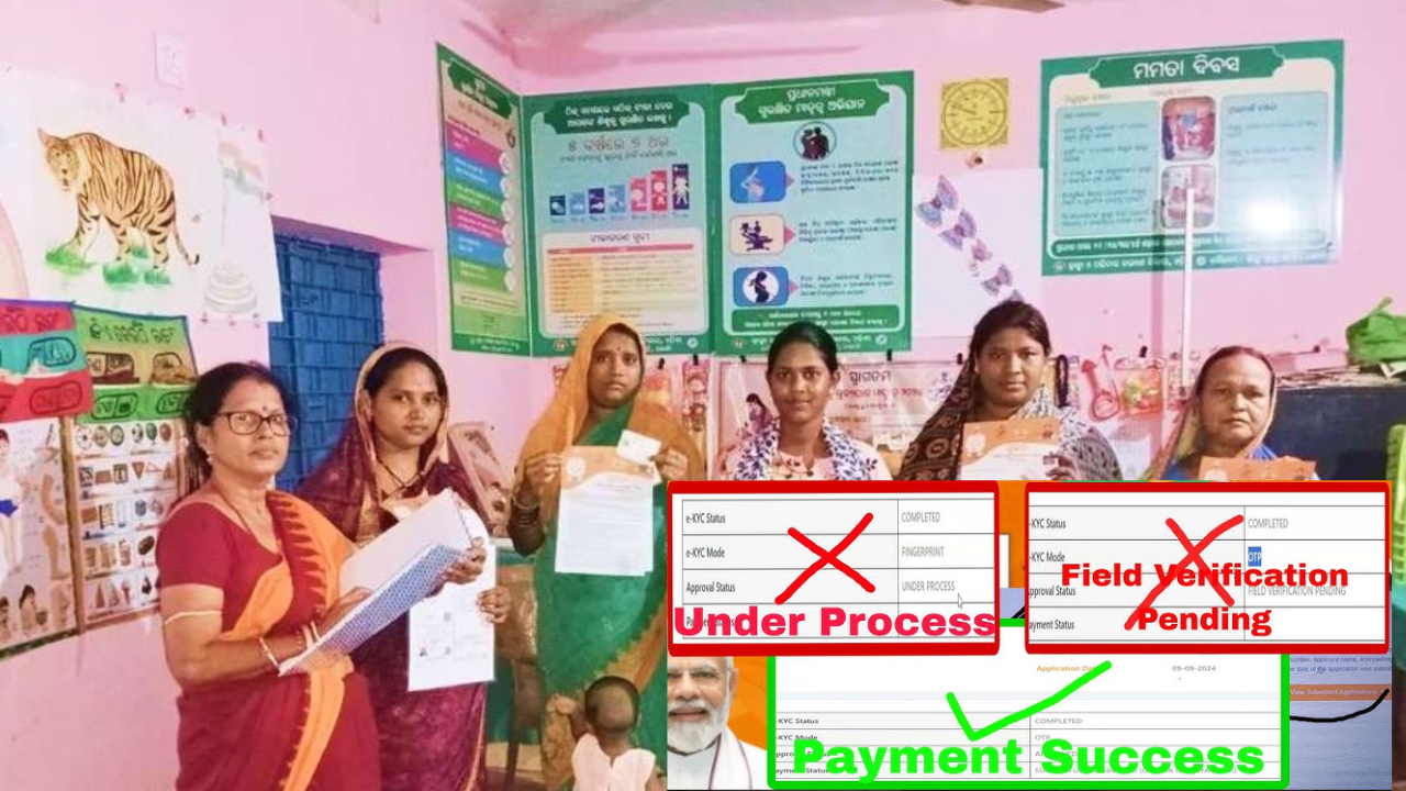 Subhadra Yojana Field Verification Required Documents conduct at home