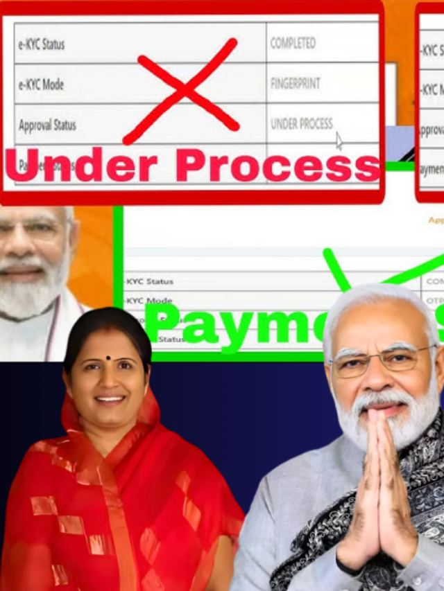 Subhadra Field Verification Pending Problem Solved