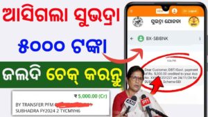 ମିଳିଲା ସୁଭଦ୍ରା ଟଙ୍କା ଦେଖନ୍ତୁ | Subhadra yojana money credited | check your bank account