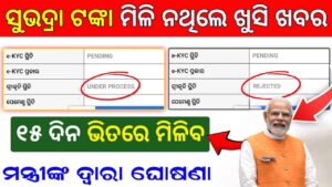 🔴୧୫ ଦିନରେ ସରିବ କାମ | how to solve subhadra yojana under process problem | new update today