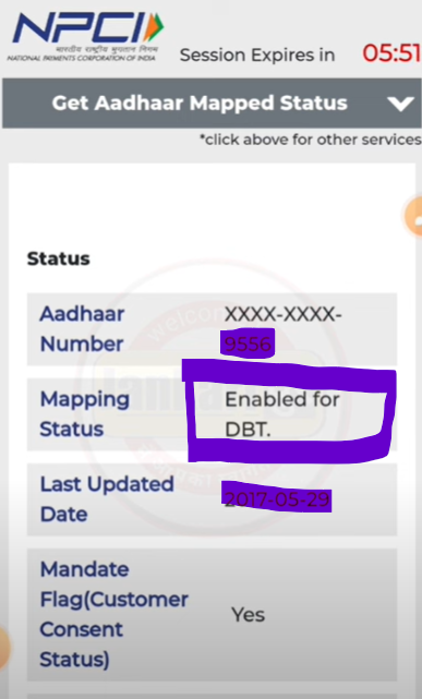 How to Check Bank Seeding Status