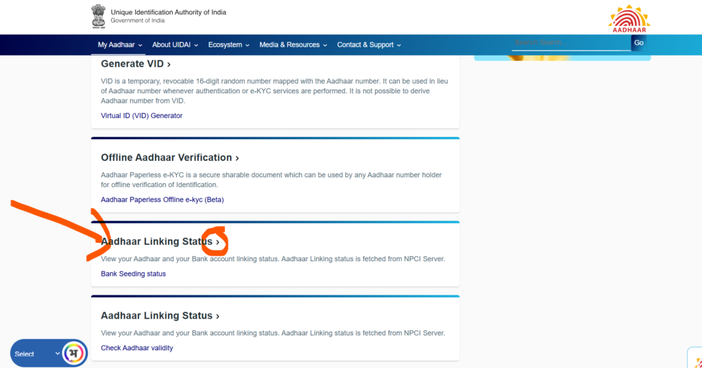 How to Check Bank Seeding Status