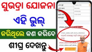 🔴 ଭୁଲ୍ କରିଥିଲେ କଣ କରିବେ ? subhadra yojana self declaration | subhadra yojana surrender option