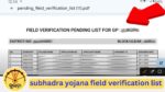 subhadra yojana field verification list odisha: under process problem solve जानिए कैसे Check करे लिस्ट | Fourth Phase Of First installment To Be Disbursed On Dec 25