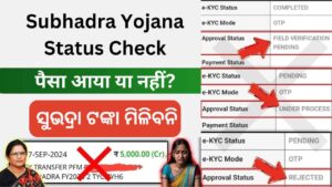 subhadra yojana status check by application number: सुभद्रा योजना का स्टेटस जानें: अपने मोबाइल से घर बैठे चेक करने का आसान तरीका!