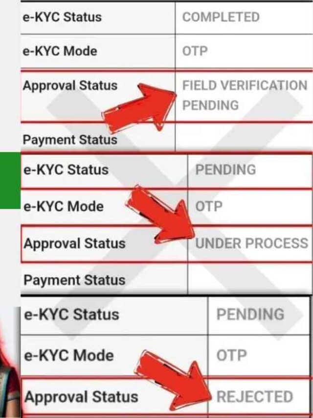 subhadra yojana status check by application number: सुभद्रा योजना का स्टेटस जानें: अपने मोबाइल से घर बैठे चेक करने का आसान तरीका!