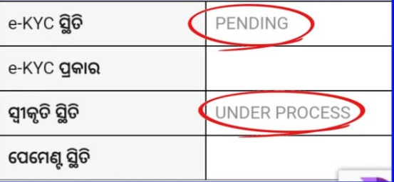 Subhadra yojana under process problem: Pravati Parida advice complete their e-KYC verification through biometric methods